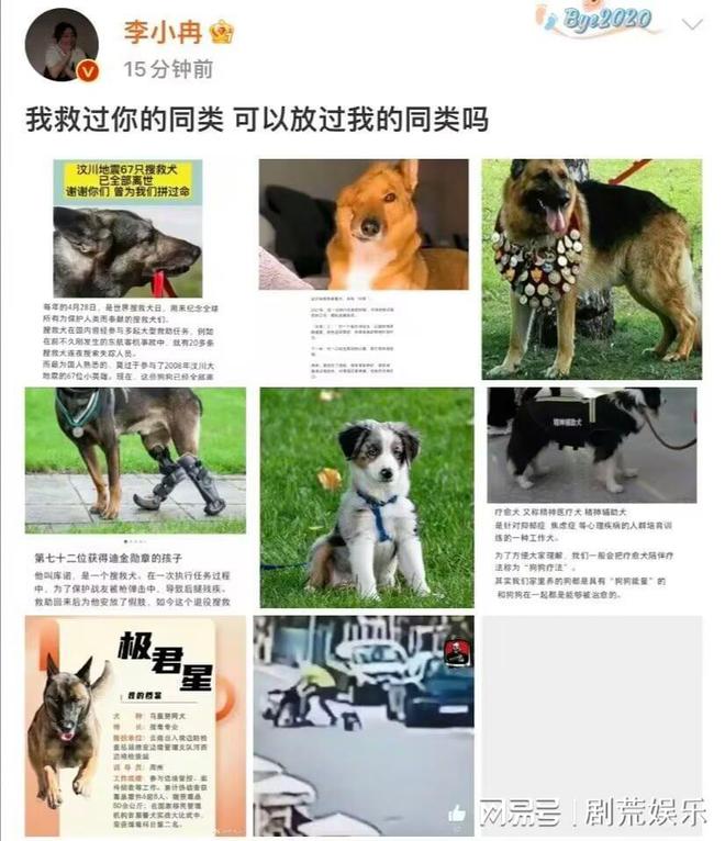 狗偷走外卖_狗看见送外卖的叫_