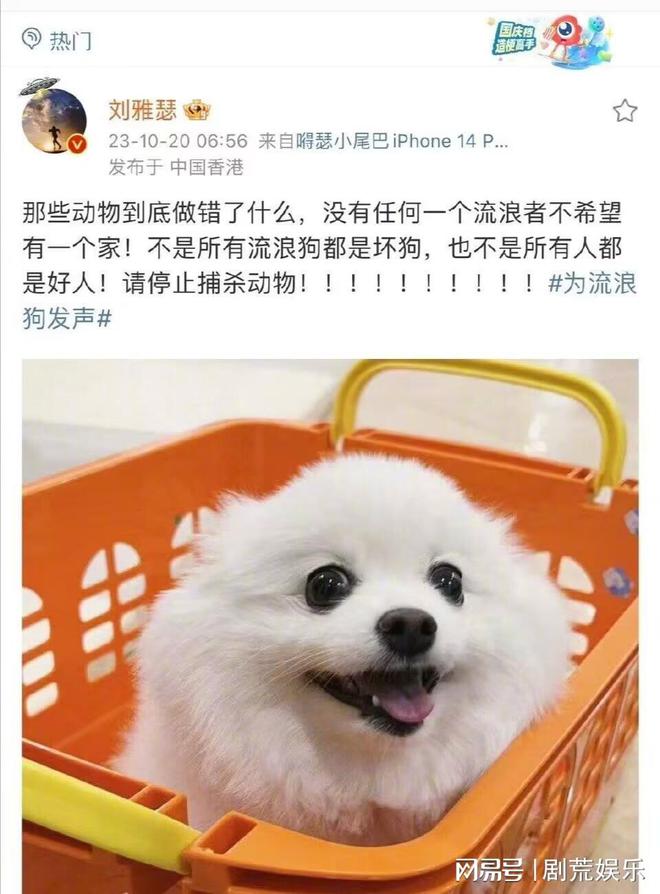 狗看见送外卖的叫__狗偷走外卖