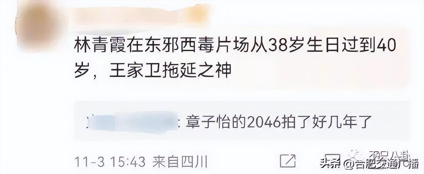 _王家卫下凡拍剧，号称投资五亿拍了三年，到底是会大爆还是大扑？_王家卫下凡拍剧，号称投资五亿拍了三年，到底是会大爆还是大扑？