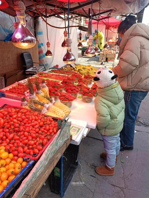 草莓价格腰斩了_长春草莓采摘园价格_草莓采摘价格