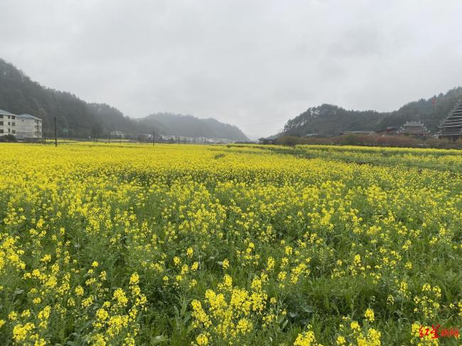 寝室梦魇：学姐21天多次霸凌他人，画面触目惊心