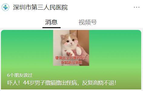 猫抓确诊病男子抓伤后会传染吗_猫抓后感染狂犬病的案例_男子被猫抓伤后确诊“猫抓病”