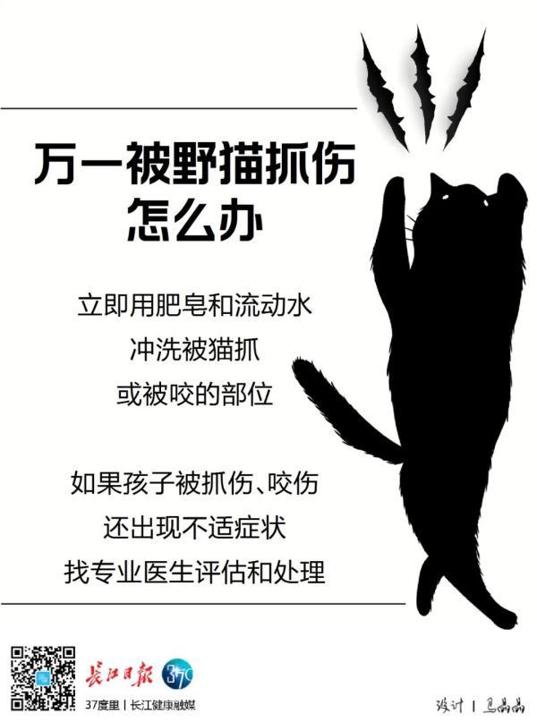 猫抓确诊病男子抓伤后会传染吗_猫抓后感染狂犬病的案例_男子被猫抓伤后确诊“猫抓病”