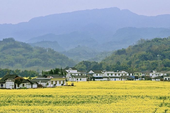 踏青赏春光_踏青赏花品春味_踏青赏花下一句