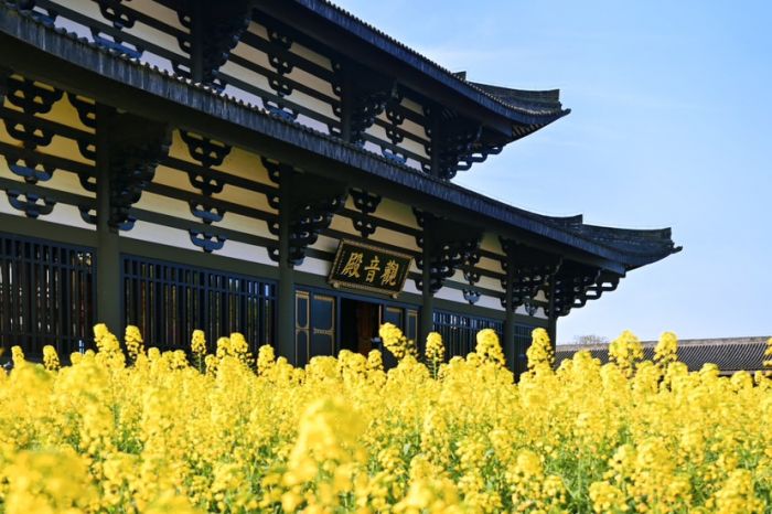 踏青赏花下一句_踏青赏花品春味_踏青赏春光