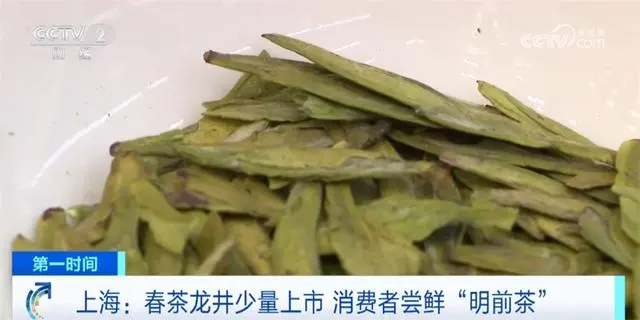 踏青赏花春意浓_踏青赏花下一句_踏青赏花品春味