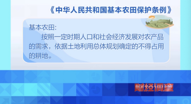 央视曝光！耗资超800万元建高标准农田，两年后改建光伏电站！当地稻谷亩产大跌→