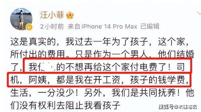 张兰在谁家做过保姆_张兰曝孙子保姆因知道太多被辞退_张兰是谁家保姆