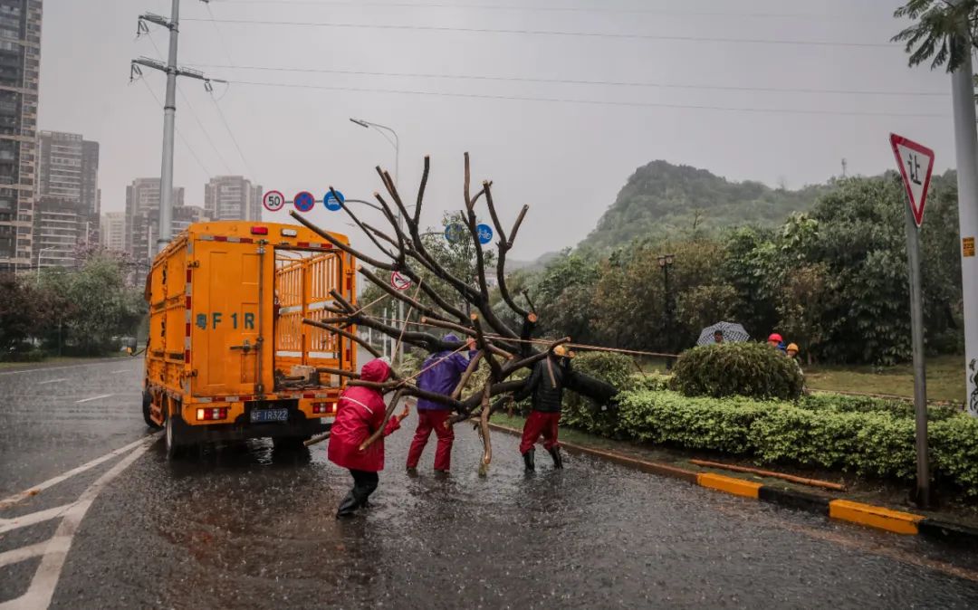 72小时雨量分布图_韶关1小时雨量破纪录_24小时雨量