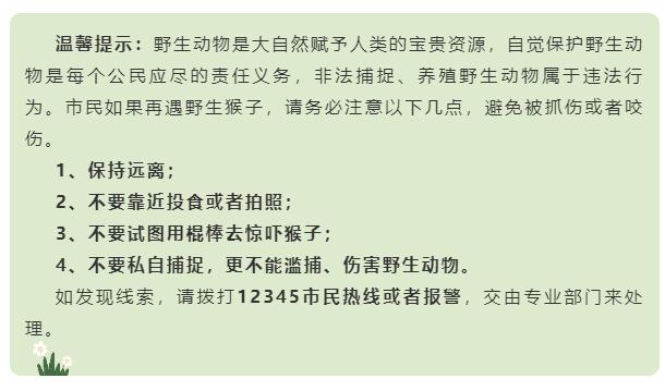 连云港花果山猴伤人_海南野猴进村伤人 还试图抓走婴儿_海南猴子岛门票多少钱