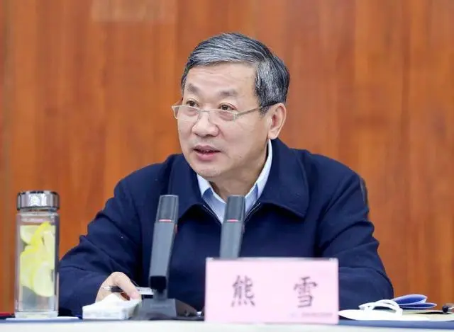重庆市委副书记雪峰_重庆熊雪_重庆市原副市长熊雪被提起公诉