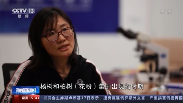 杨柳絮飞多久_杨柳飞絮还要持续多久_杨柳的飞絮有什么作用