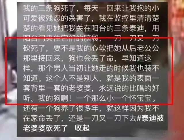 婆婆杀了儿媳妇的宠物_婆婆扔狗事件_女子回应养的狗被婆婆砍死