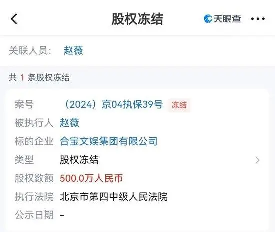 赵薇名下股权再遭冻结_赵薇被冻结数百股权_赵薇被冻结资产