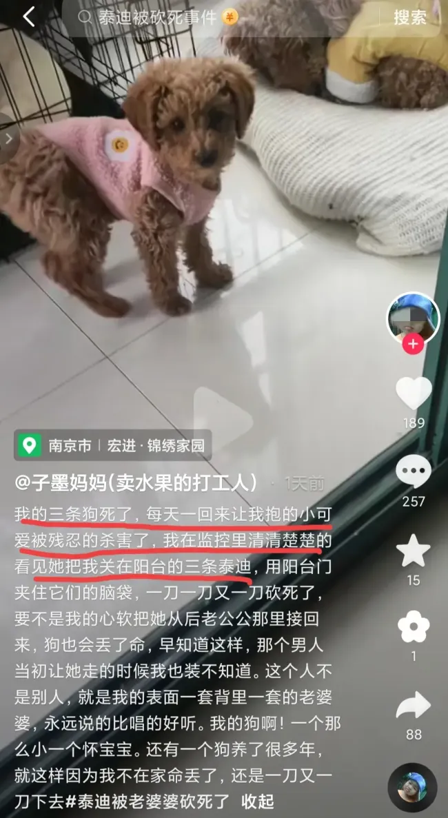 女子称养的狗被婆婆拿刀砍死 孕期泰迪亦遭殃