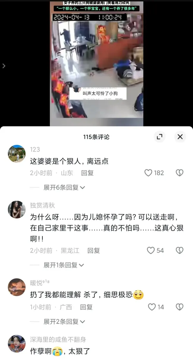 女子称养的狗被婆婆拿刀砍死 孕期泰迪亦遭殃