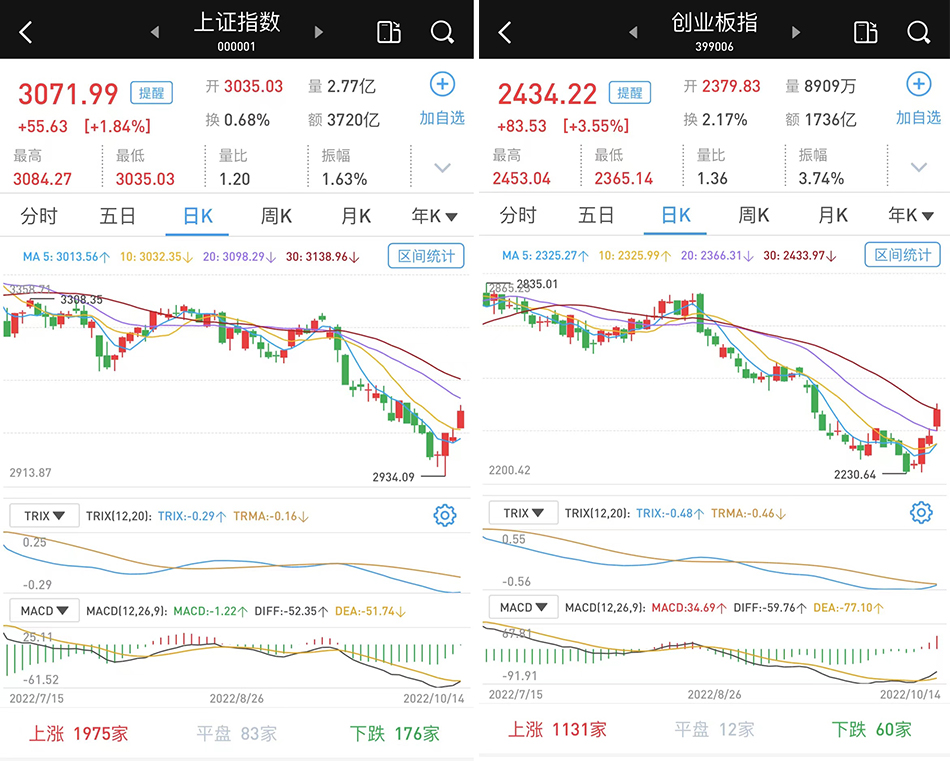 a股大涨大跌_a股大涨 逾千股涨超9%_a股果然暴涨