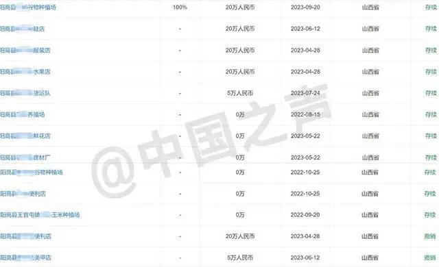 办理营业执照村委证明怎么写_为完成任务村支书1人办20张营业执照_村委会营业执照