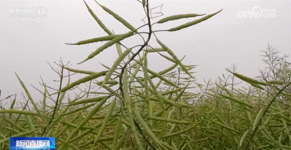 一列货运列车载重_货运列车载重量_中国载重最大货运列车今将开行