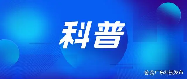 属龙的年月日时命运_今年第二个龙年龙月龙日龙时_龙年出生的年月