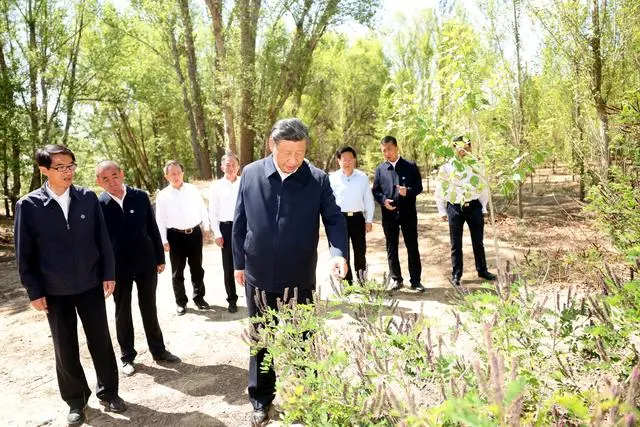 座谈会调研_座谈和调研哪个在前面_总书记的8次座谈和8次调研