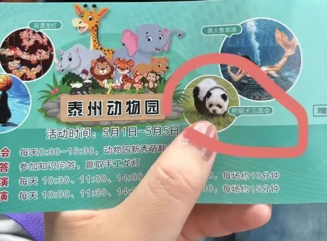 泰州动物园回应松狮犬假扮熊猫_泰州动物园回应松狮犬假扮熊猫_泰州动物园回应松狮犬假扮熊猫