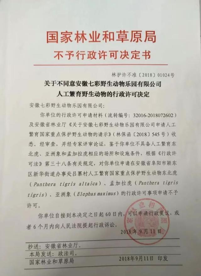 安徽阜阳野生动物园20只东北虎死亡 人祸酿下悲剧