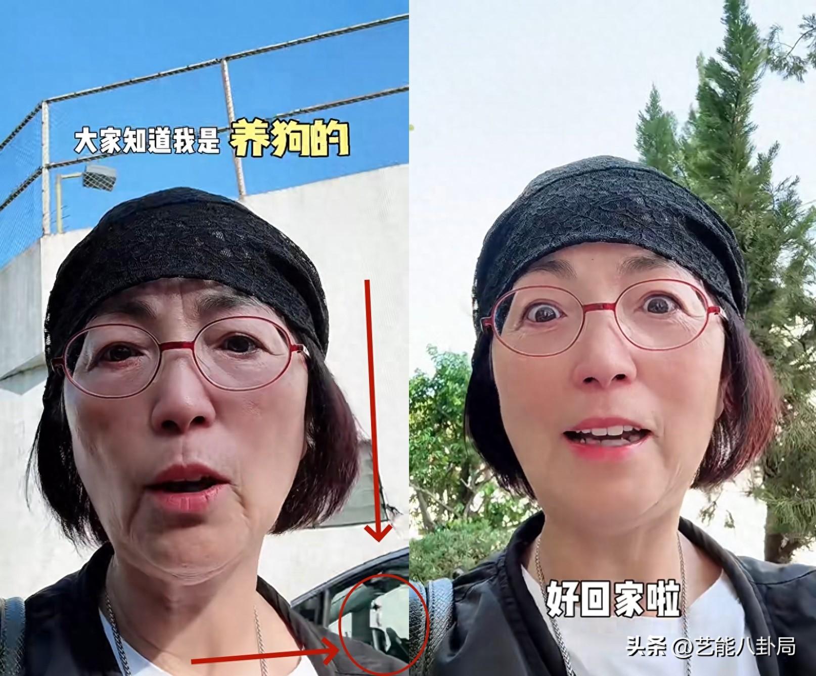 _婚宠隐婚老公太狼性_婚不由己隐婚老公别乱来