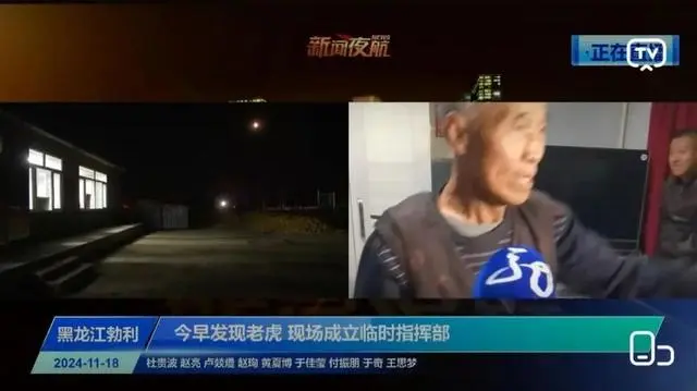 黑龙江：非必要不击毙老虎 除非正伤人_黑龙江：非必要不击毙老虎 除非正伤人_黑龙江：非必要不击毙老虎 除非正伤人