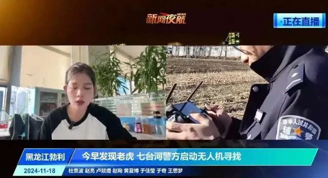 黑龙江：非必要不击毙老虎 除非正伤人_黑龙江：非必要不击毙老虎 除非正伤人_黑龙江：非必要不击毙老虎 除非正伤人