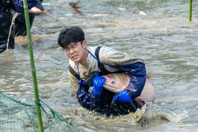 高校连续10年组织师生下湖捞鱼_端午板书设计_饥荒如何刷屎