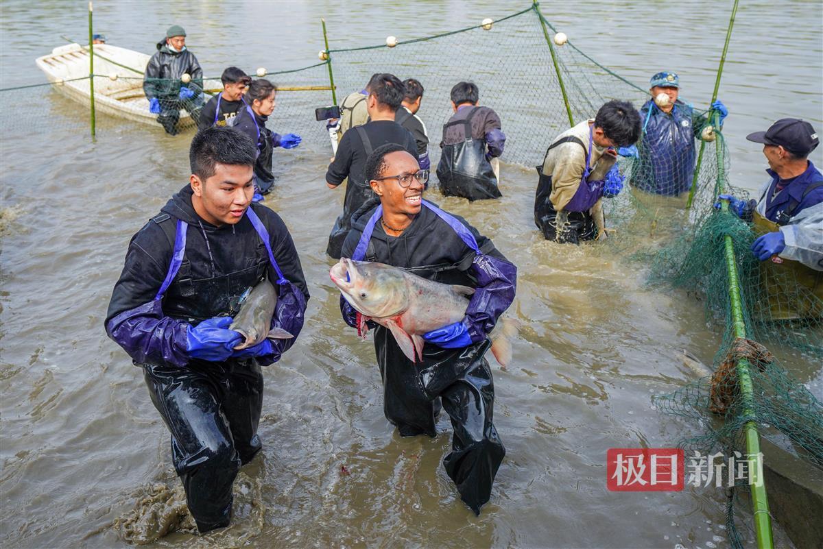 饥荒如何刷屎_高校连续10年组织师生下湖捞鱼_美团上海总部工资待遇