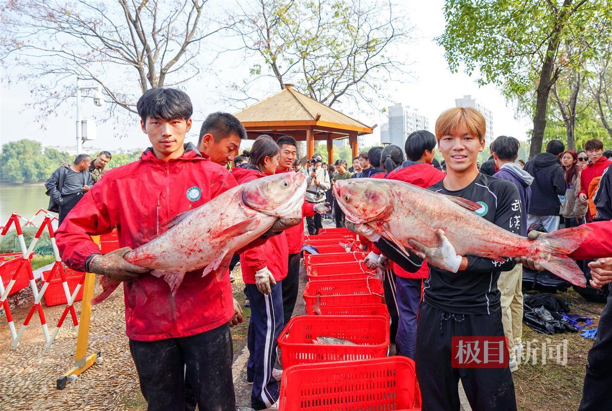 美团上海总部工资待遇_饥荒如何刷屎_高校连续10年组织师生下湖捞鱼