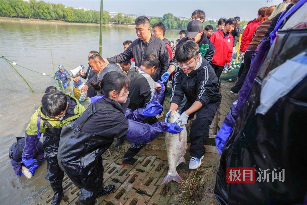 高校连续10年组织师生下湖捞鱼_饥荒如何刷屎_美团上海总部工资待遇