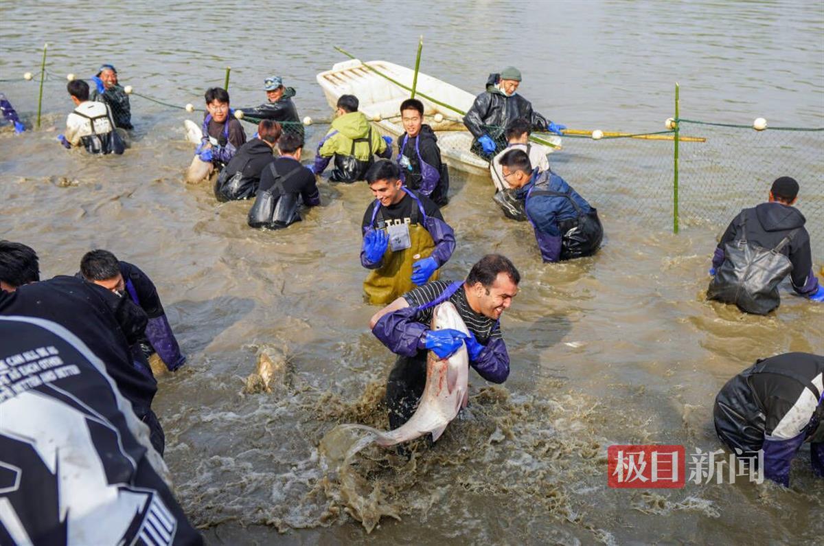 美团上海总部工资待遇_高校连续10年组织师生下湖捞鱼_饥荒如何刷屎