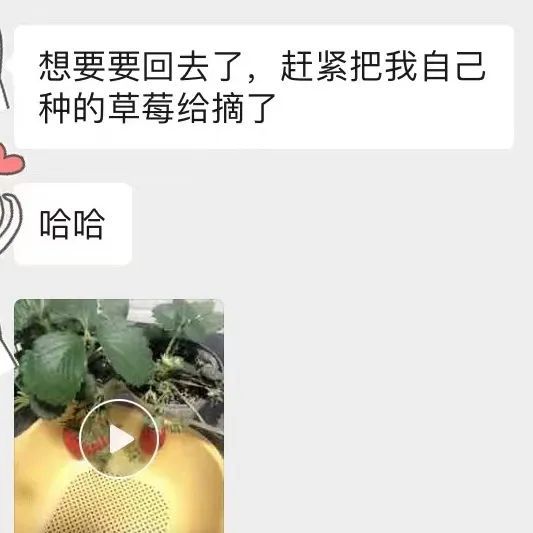 开局拿下豆瓣9.1，《好东西》里真的有好东西_开局拿下豆瓣9.1，《好东西》里真的有好东西_