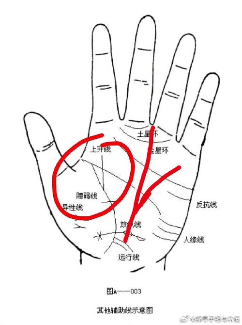 如何看自己有没有横财命格呢_有命格横财没看上的人_命里有横财算命能算出吗