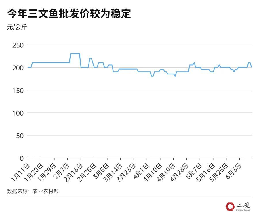 蓝莓多少钱一斤_蓝莓多少钱一斤_蓝莓多少钱一斤