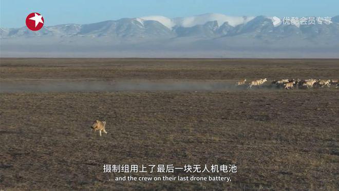 纪录片《亚洲》：献给认知之外，我们赖以生存的地方__纪录片《亚洲》：献给认知之外，我们赖以生存的地方