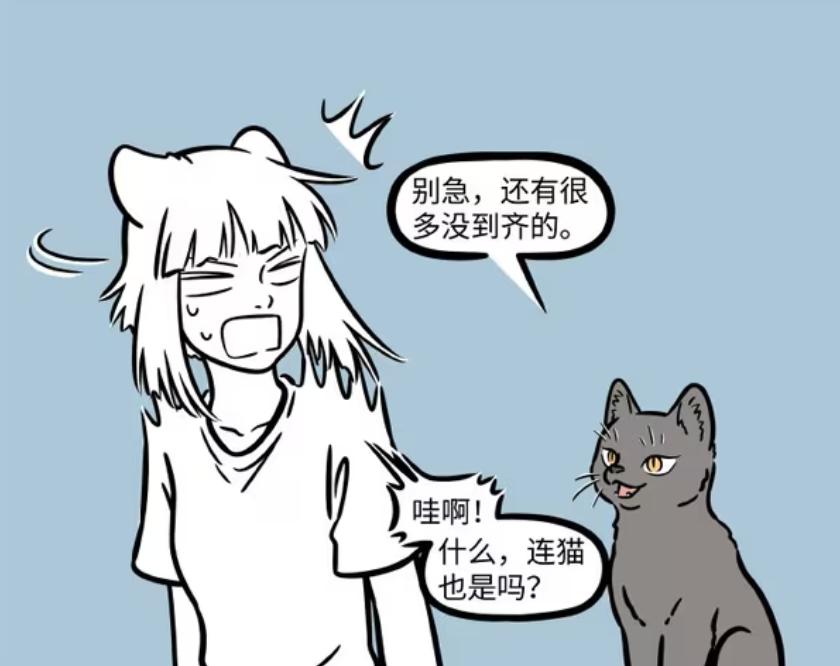 _猫观音壁纸_猫上观音菩萨供桌上