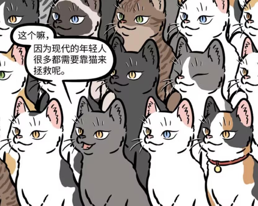 猫上观音菩萨供桌上_猫观音壁纸_