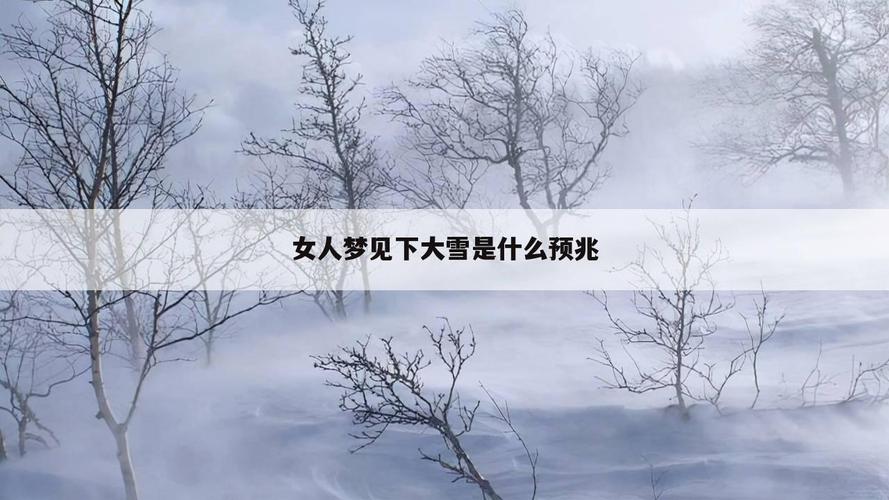 下雪梦见下雪_周公解梦+梦见下雪_下雪解梦周公梦见老鼠