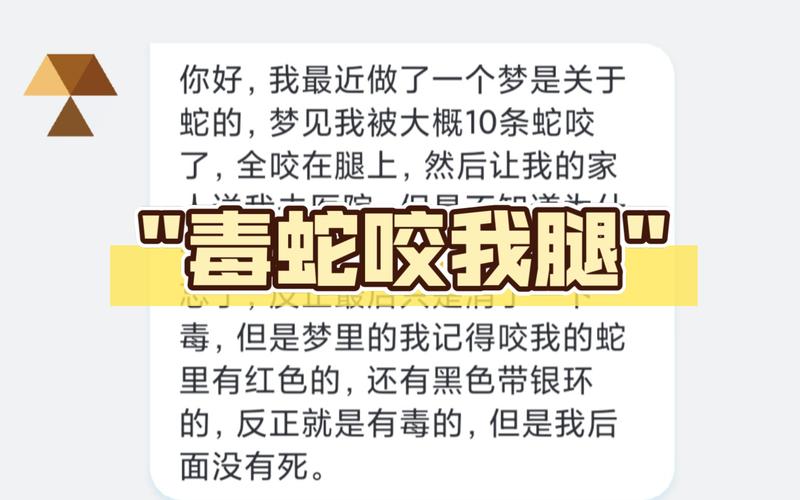 做梦见青蛇追我暗示着什么_梦见自己追青蛇_周公解梦梦见被青蛇追