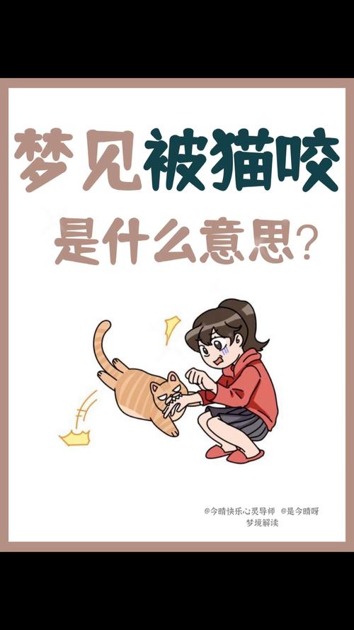 梦见好多只猫咬我_周公解梦梦见很多猫咬我_梦见了许多猫而且被咬