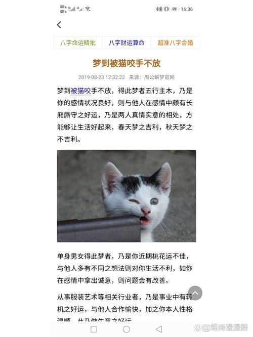 梦见好多猫咬人_梦见好多只猫咬我_周公解梦梦见很多猫咬我