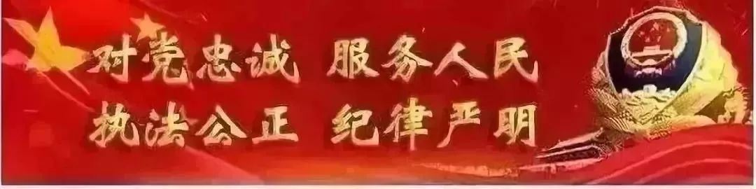 逃犯穿义薄云天鞋子_没有头的蟑螂_上海嘉定民办天宇小学招聘