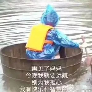 快乐星球长大了_快乐星球莲蓉包长大_星球快乐什么意思