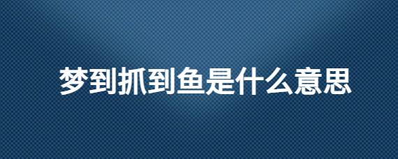 周梦见鱼公解梦大全查询_周公解梦 梦见鱼_周公梦鱼