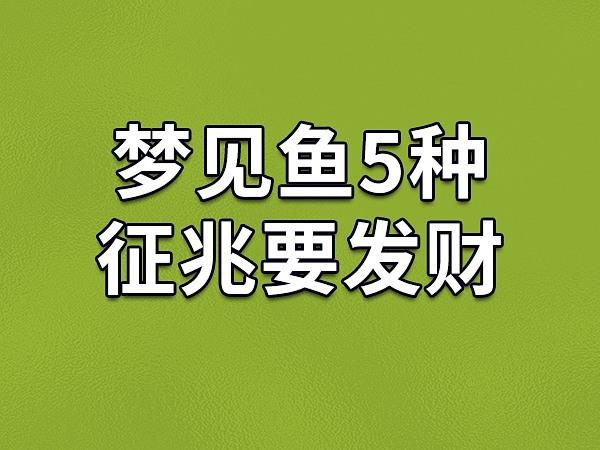 周梦见鱼公解梦大全查询_周公解梦 梦见鱼_周公梦鱼