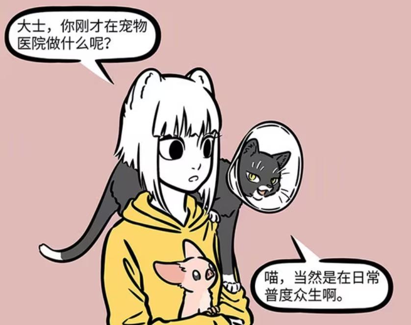 _非人哉：九月带徐哼唧打疫苗，观音的化身变为黑猫，还被绝育_非人哉：九月带徐哼唧打疫苗，观音的化身变为黑猫，还被绝育